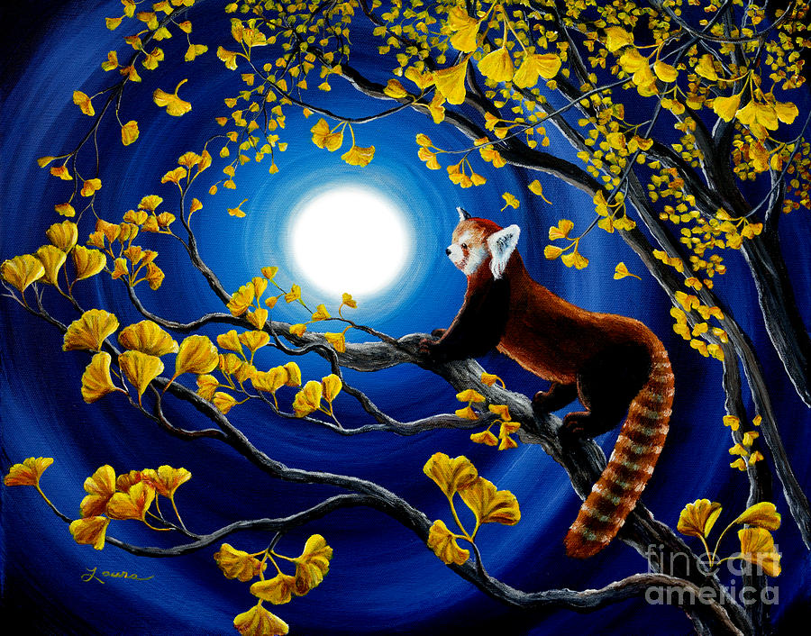 Red Panda in Golden Gingko Tree Painting by Laura Iverson