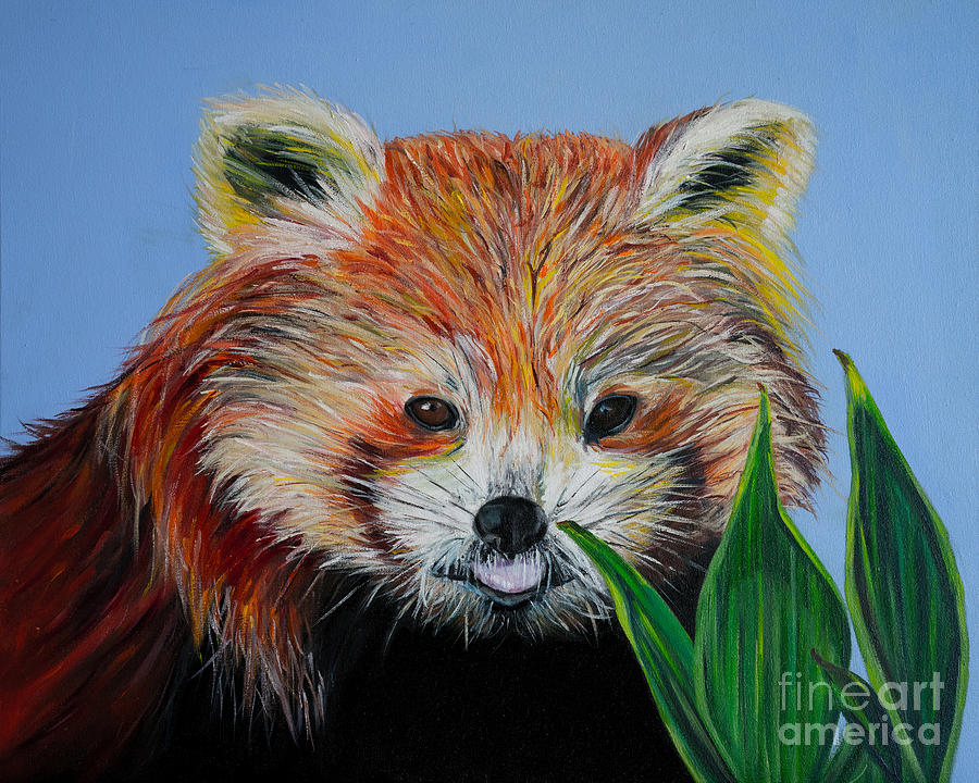 Wildlife Painting - Red Panda by Silvana Abel