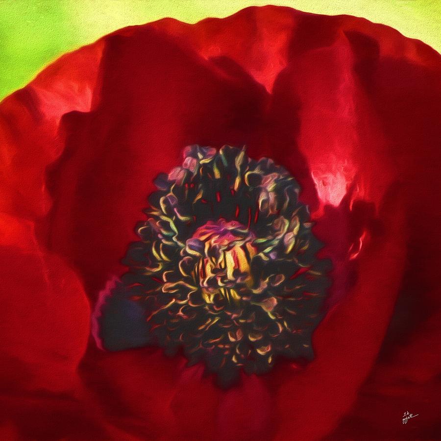 Red Paper Poppy Photograph by TK Goforth