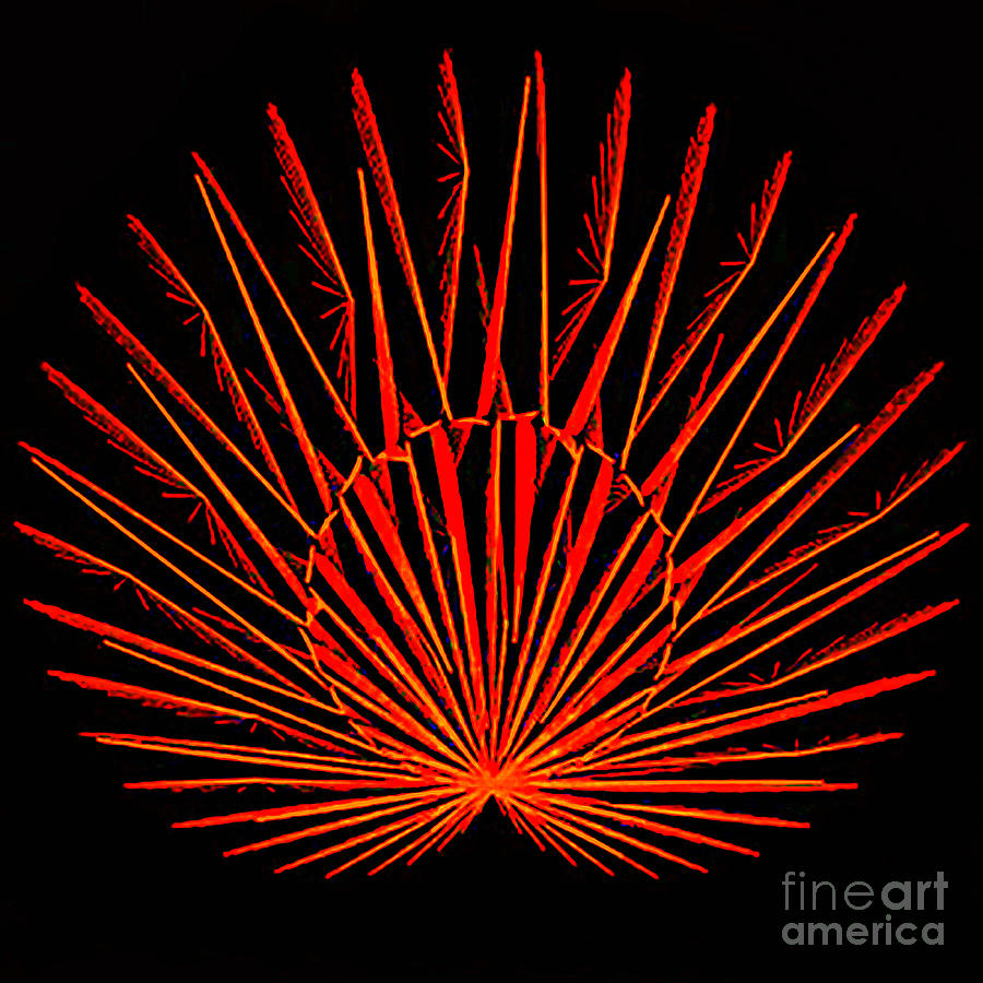 Red Peacock Digital Art by Kip Vidrine