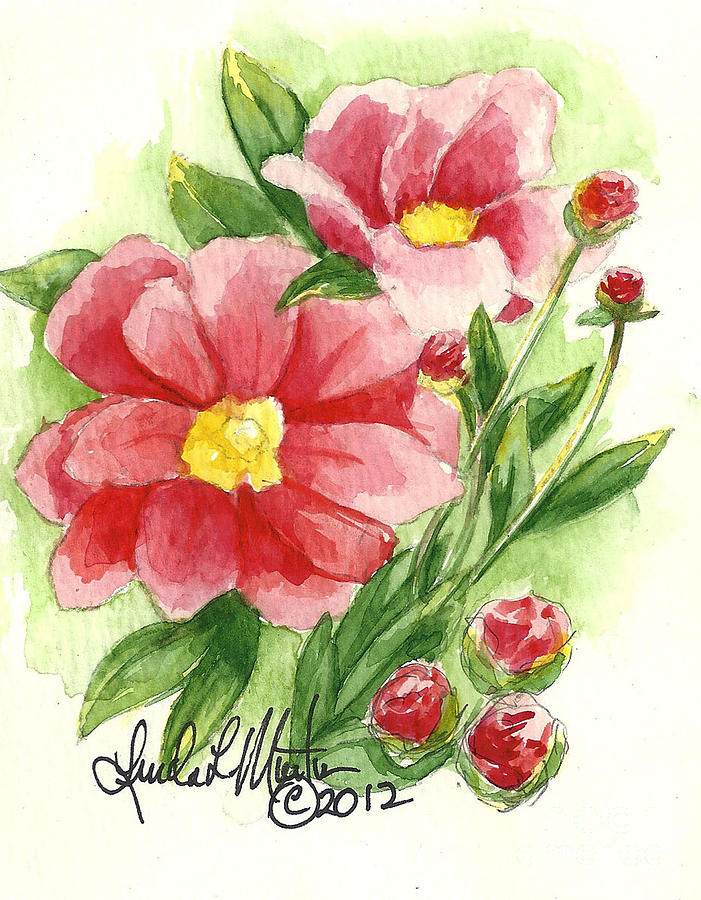 Red Peony Painting by Linda L Martin