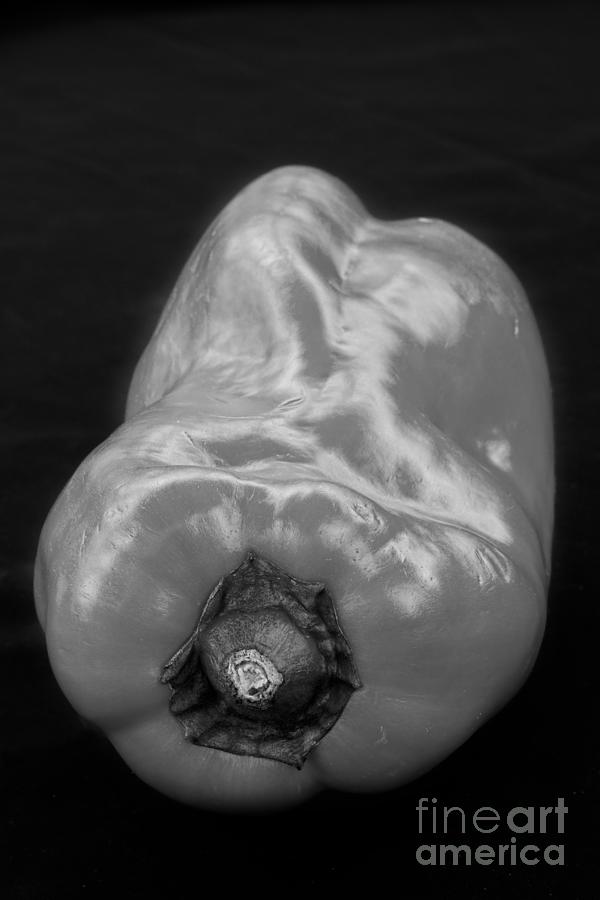 Vegetable Photograph - Red Pepper Bringing Sexy Back Black and White by James BO Insogna