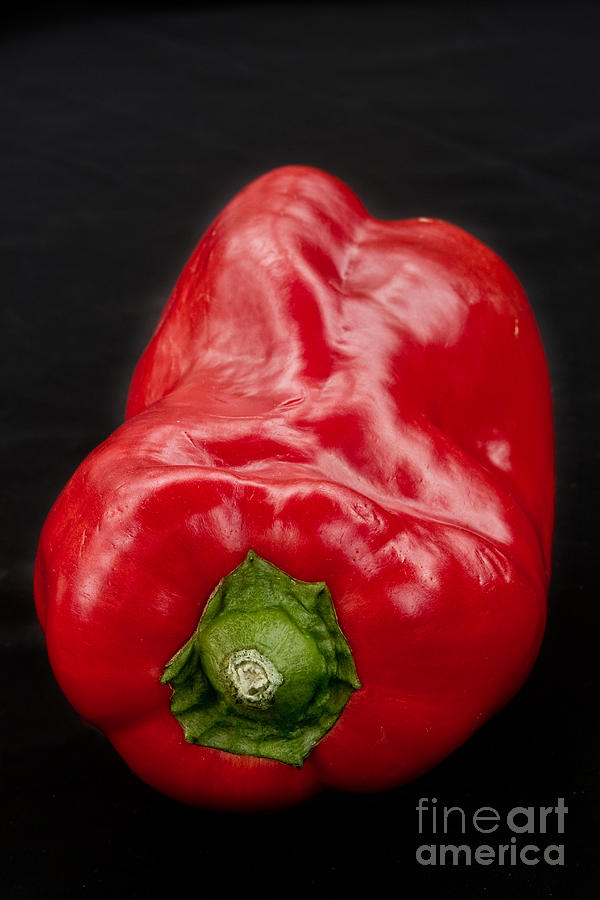 Red Pepper Bringing Sexy Back Photograph