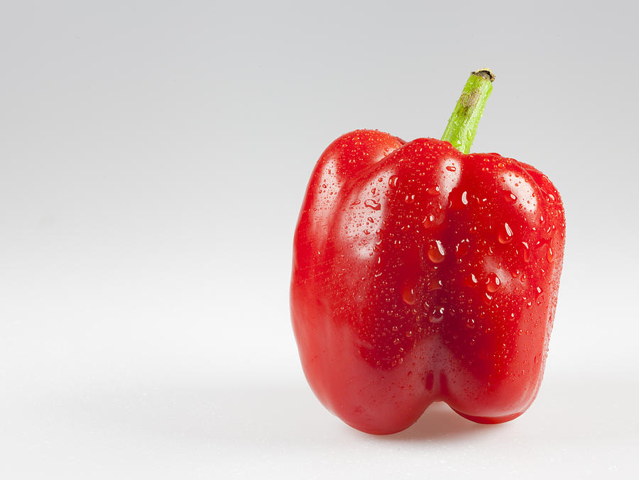 Red Pepper Photograph by John Crothers