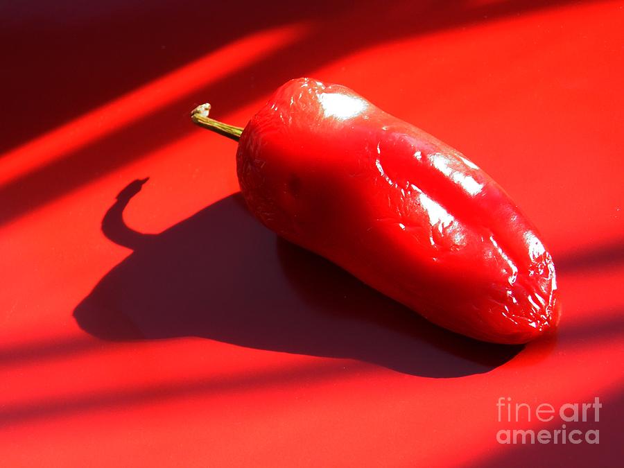 Vegetable Photograph - Red Pepper by Sarah Loft