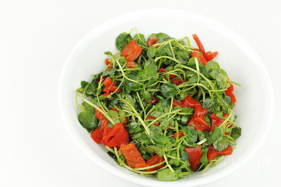 Red Peppers And Watercress Photograph