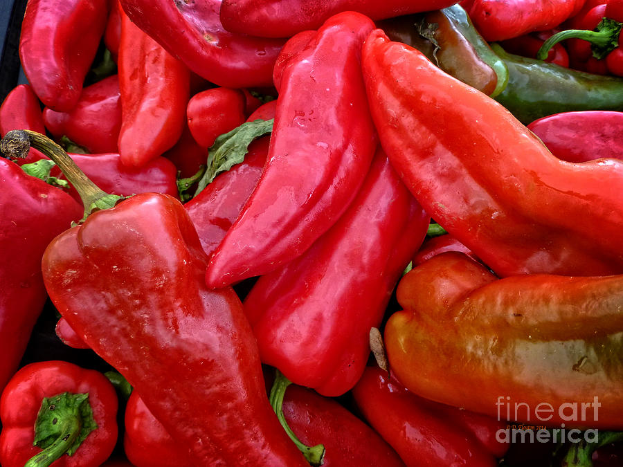 Red Peppers Photograph by Dee Flouton