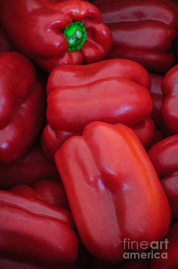 Red Peppers Photograph by Tikvahs Hope