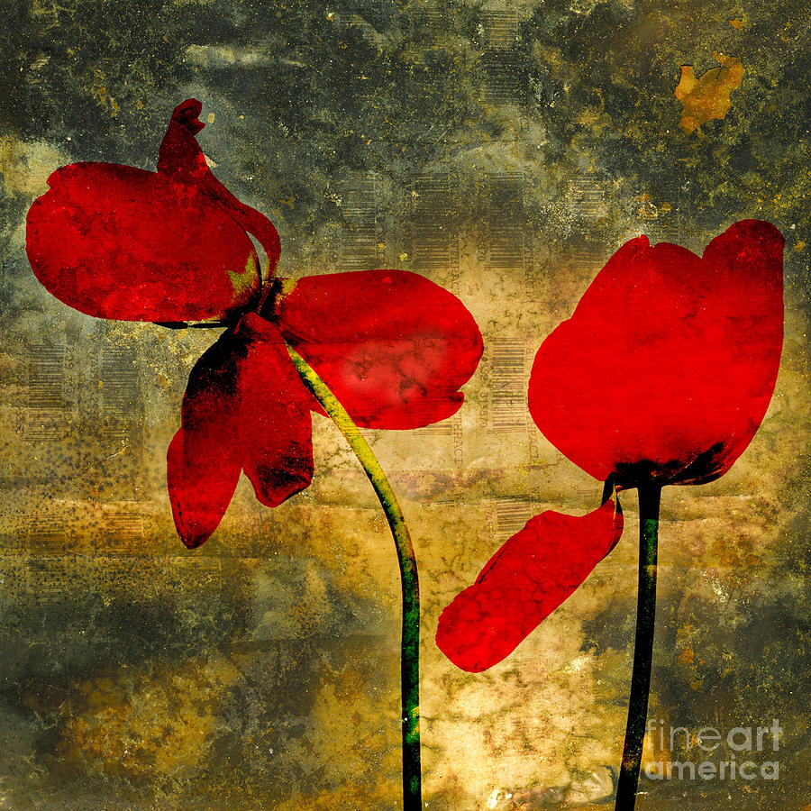 Vintage Photograph - Red petals by Bernard Jaubert