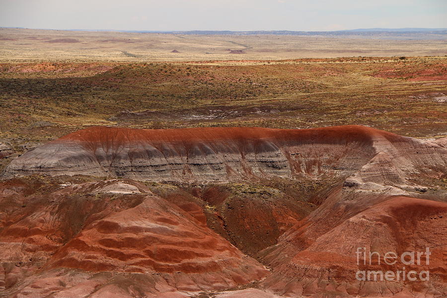 National Parks Photograph - Red Petrified Dunes - Painted Desert by Christiane Schulze Art And Photography