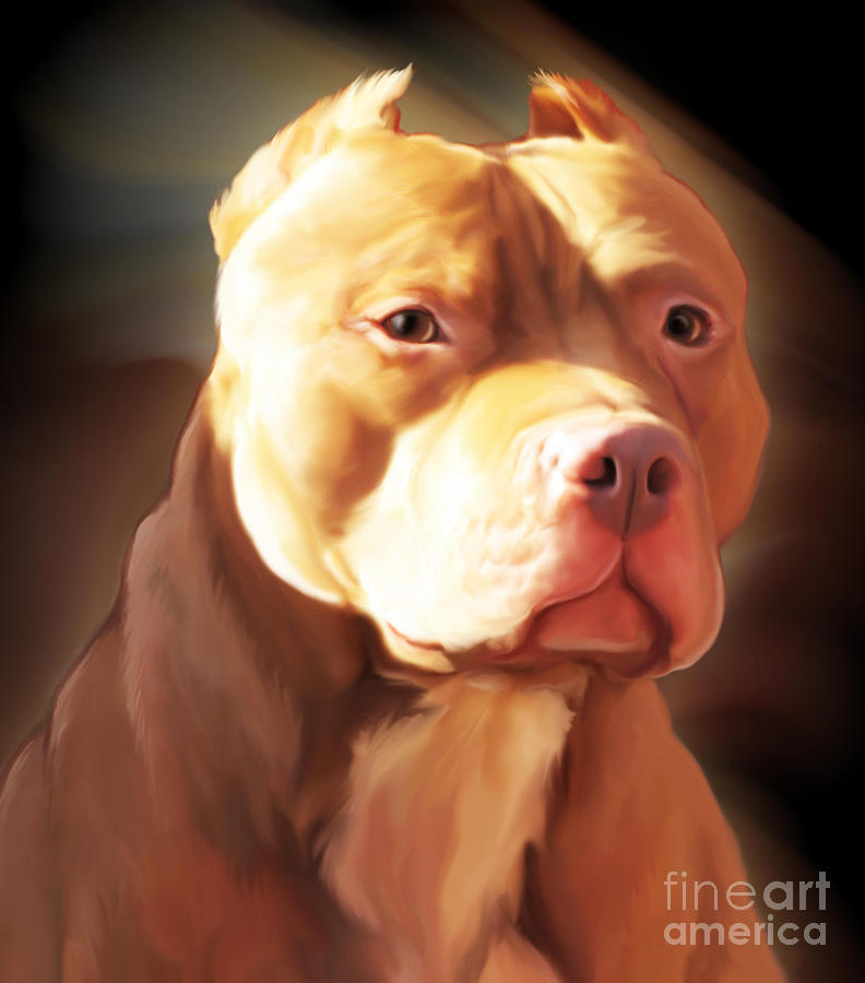 Red Pit Bull by Spano Painting by Michael Spano