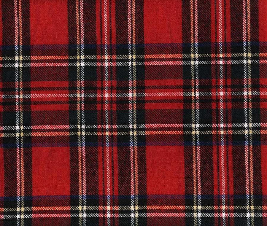 Red Plaid 2 Digital Art by Kim Prowse