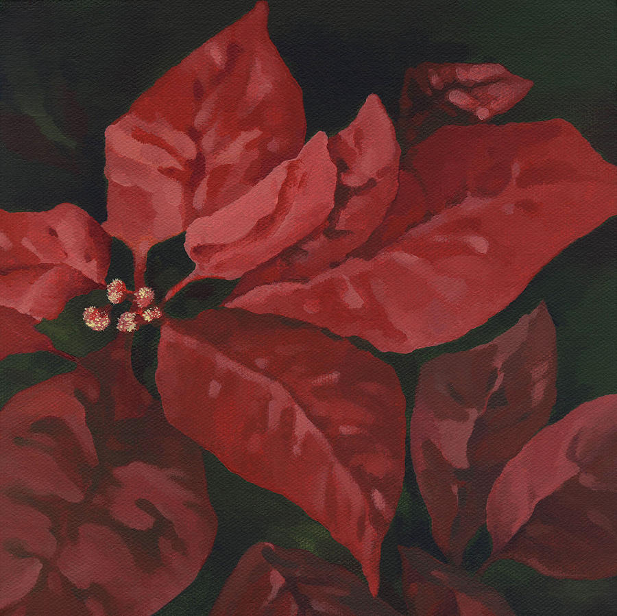 Red Poinsettia Painting by Natasha Denger