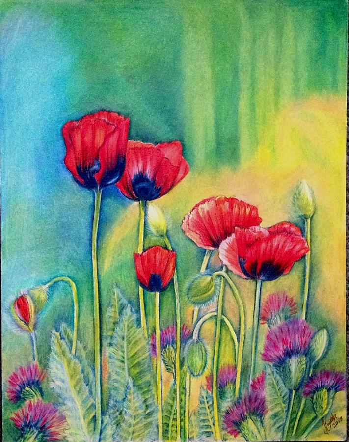 Red Poppies and thistles Drawing by Julia Gatti - Fine Art America