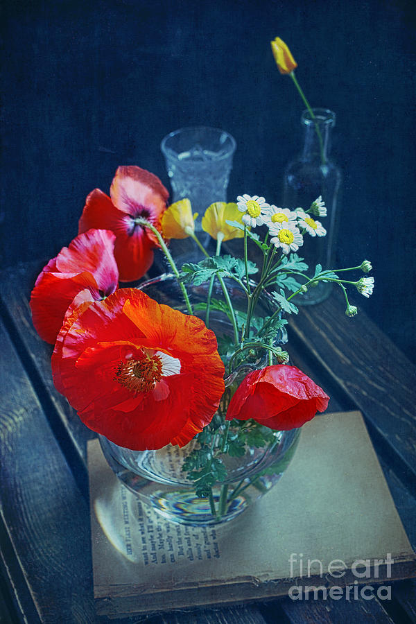 Red Poppies Photograph by Elena Nosyreva