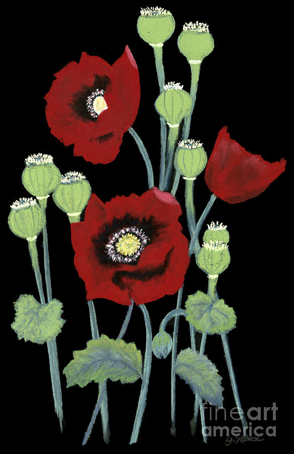 Red Poppies on Black Pastel by Ginny Neece