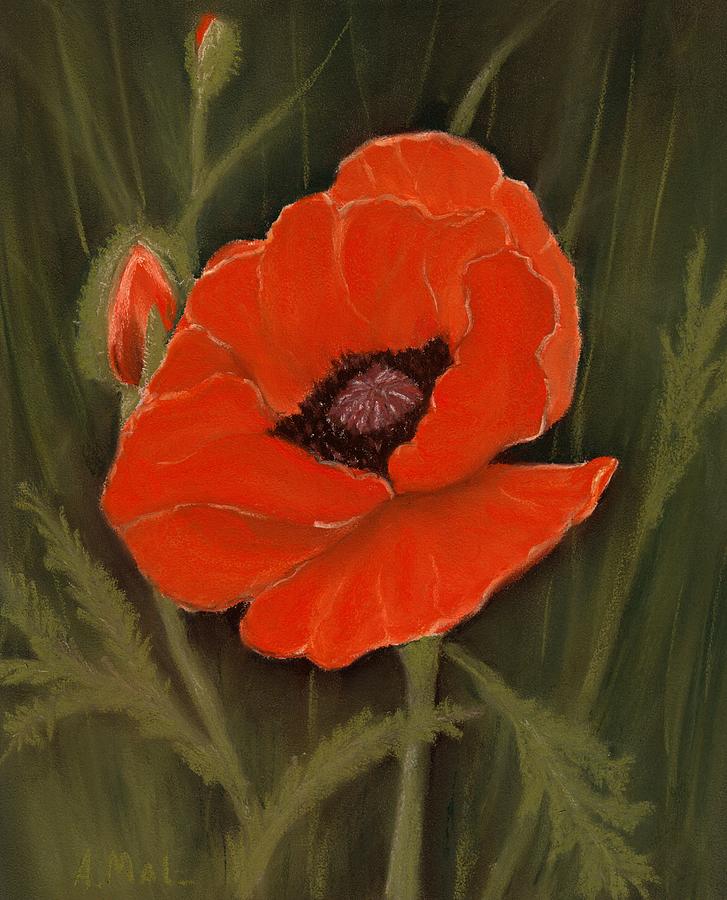 Red Poppy Painting by Anastasiya Malakhova