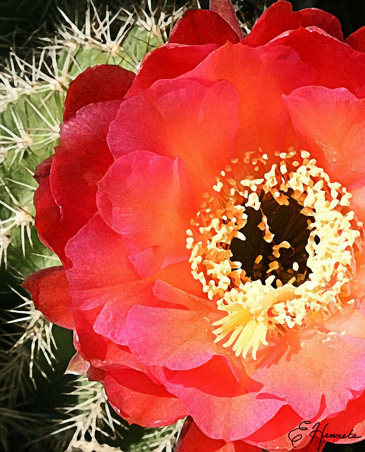 Red Prickly Pear Blossom Painting