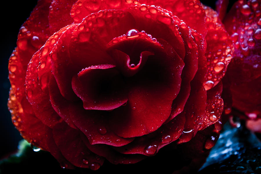 Red Rain Photograph by Glenn DiPaola