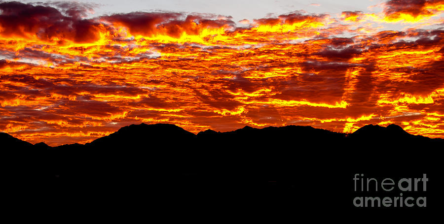 Red Rays Photograph by Robert Bales
