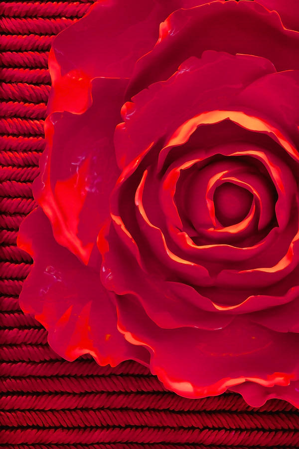 Red Red Rose Photograph by Art Block Collections