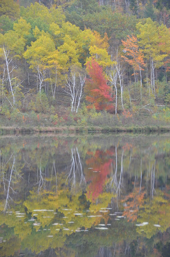 Red Reflection Photograph by Michael Gooch - Fine Art America