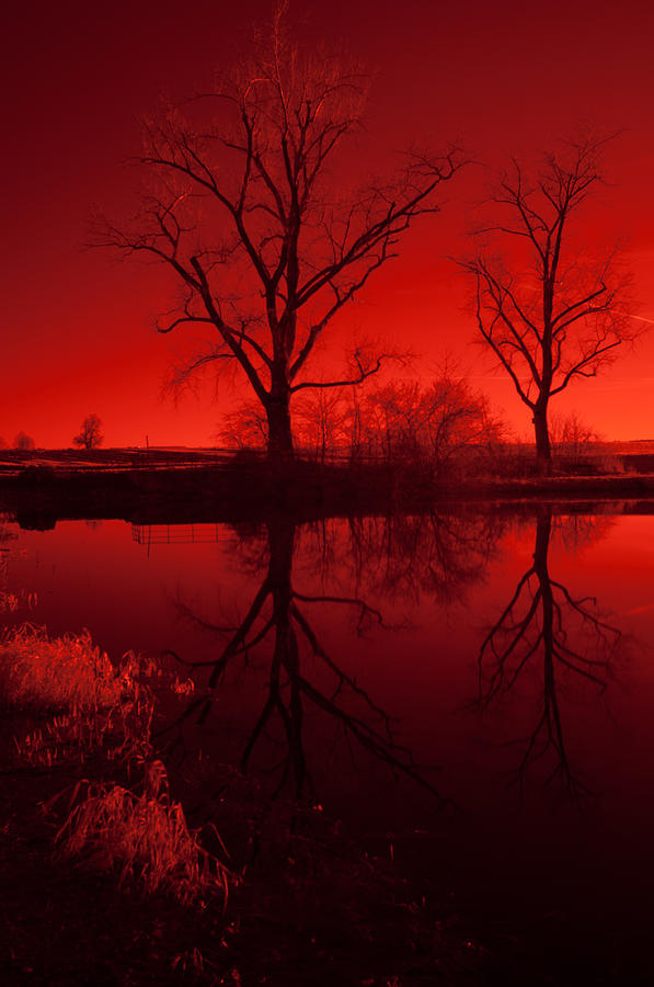 Red Reflections Photograph by Miguel Winterpacht