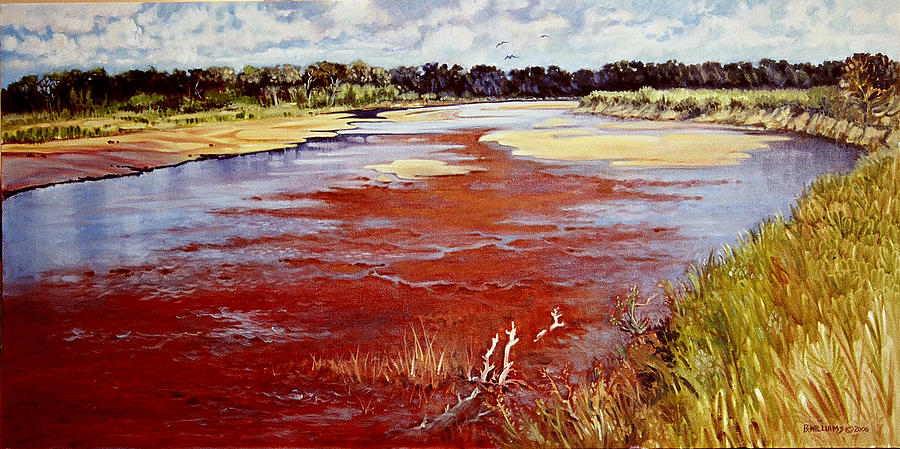 Landscape Painting - Red River by Bill Williams