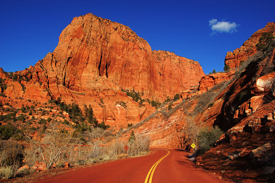 Red Road in Zion Photograph by Daniel Woodrum
