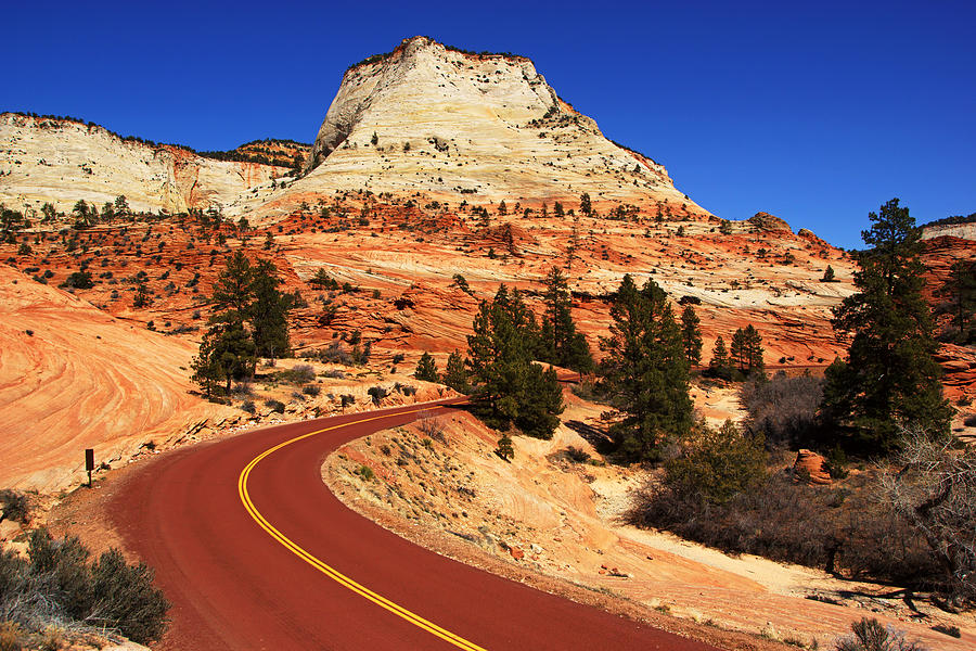 Red Road Through Zion II Photograph by Daniel Woodrum