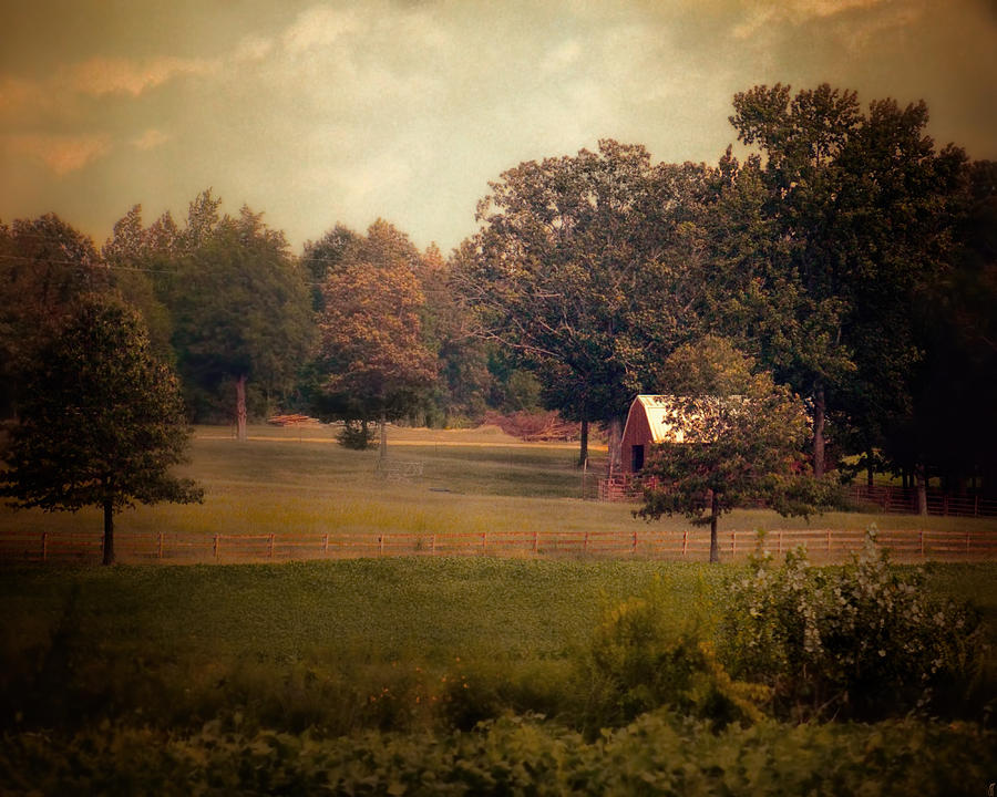 Red Roadside Barn Photograph by Jai Johnson