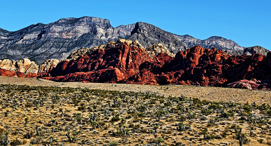 Red Rock Canyon 2 Photograph by Judy Vincent