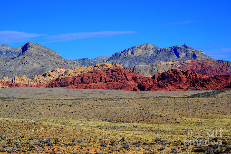 Red Rock Canyon 20 Photograph by Diane montana Jansson