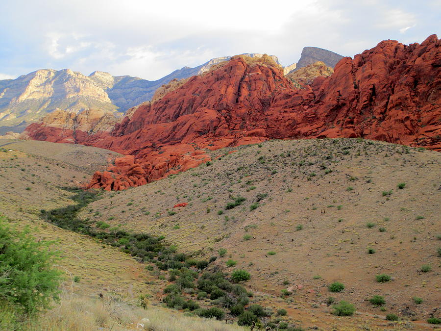 Red  Rock Canyon 2014 Number 10 Photograph by Randall Weidner