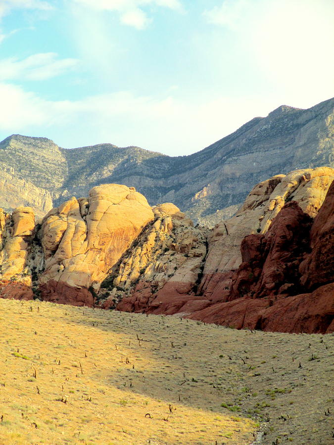Red Rock Canyon 2014 Number 16 Photograph by Randall Weidner