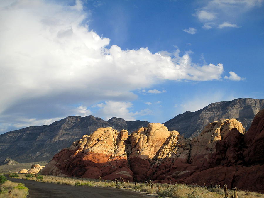Red Rock Canyon 2014 Number 20 Photograph by Randall Weidner
