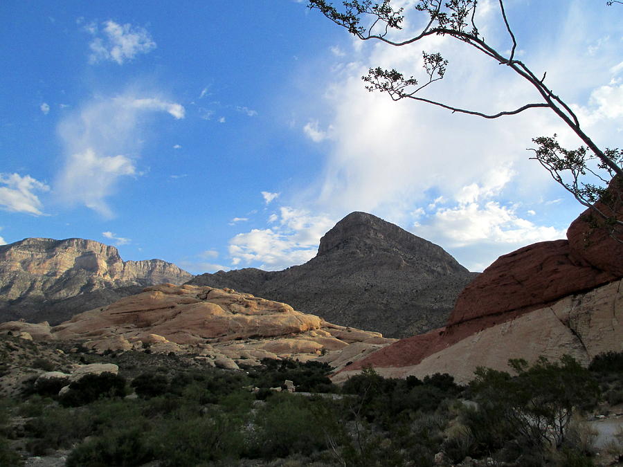 Red Rock Canyon 2014 Number 23 Photograph by Randall Weidner