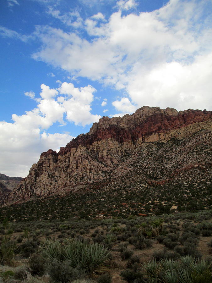 Red Rock Canyon 2014 Number 25 Photograph by Randall Weidner