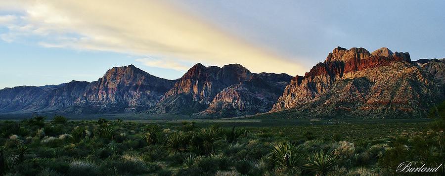 Landscape Photograph - Red Rock Canyon by Burland McCormick