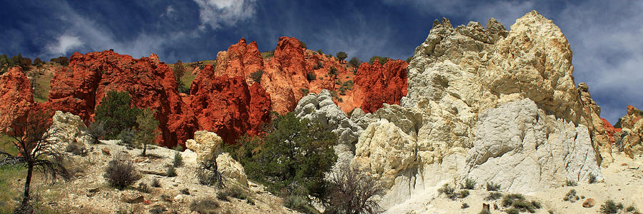 Red Rock Canyon Photograph by James Eddy