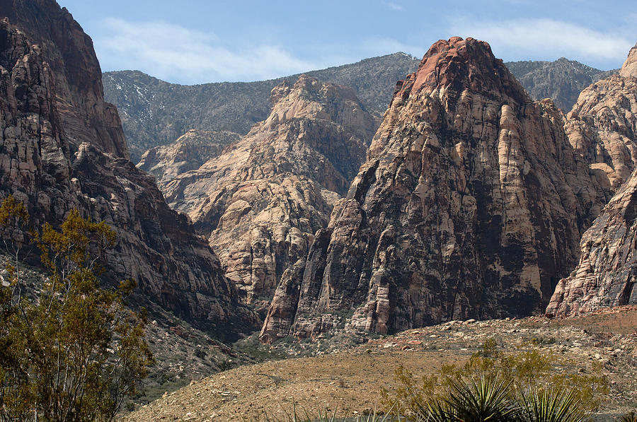Red Rock Canyon Photograph by John W. Bova
