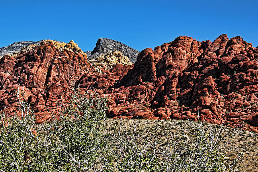 Red Rock Canyon Layers Photograph by Judy Vincent
