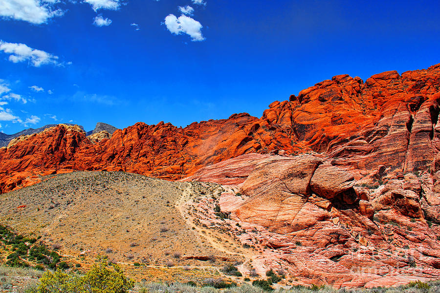 Grand Canyon National Park Photograph - Red Rock Canyon by Mariola Bitner