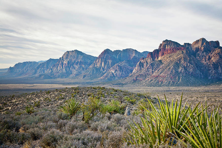 Las Vegas Photograph - Red Rock Canyon National Conservation by Andrew Peacock
