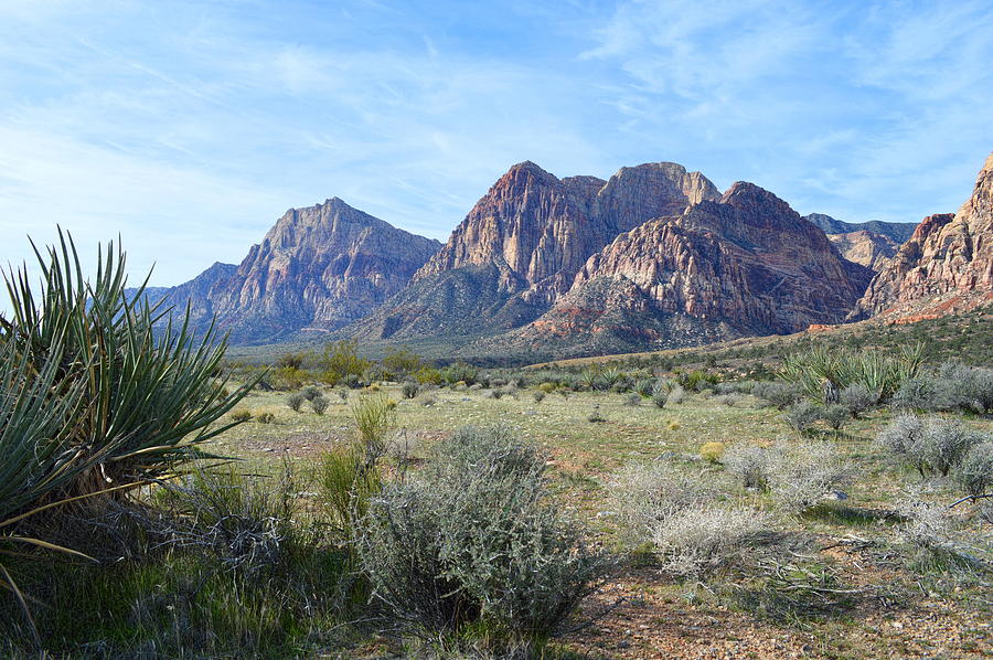 Red Rock Canyon National Conservation Area Photograph by Glenn McCarthy Art and Photography