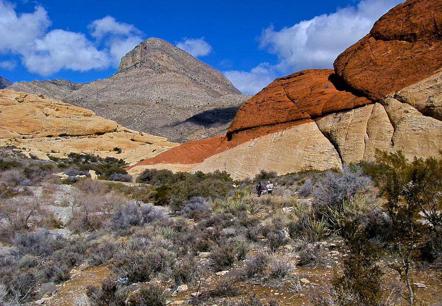 Red Rock Canyon Nevada Photograph by Venetia Featherstone-Witty