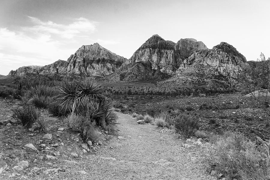 Black And White Photograph - Red Rock Canyon Trailhead Black and White by Stephanie McDowell