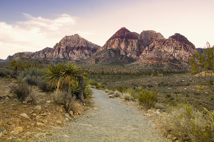 Las Vegas Photograph - Red Rock Canyon Trailhead by Stephanie McDowell