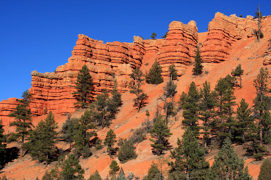 Red Rock Canyon Utah Photograph By Aidan Moran Pixels 