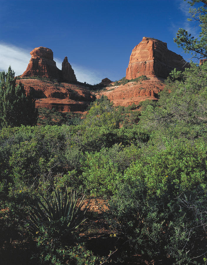 Red Rock Country Sedona Photograph by Garry McMichael